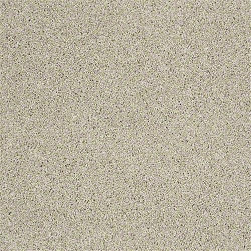 Pismo Beach in Stucco Carpet