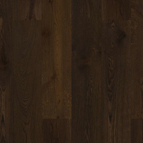 EXPRESSIONS in Coda Hardwood