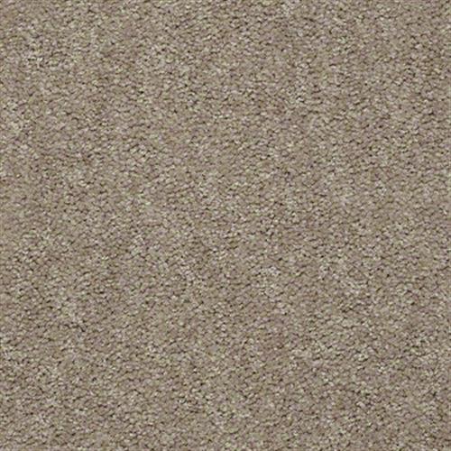 Ab310 in Hope Chest Carpet