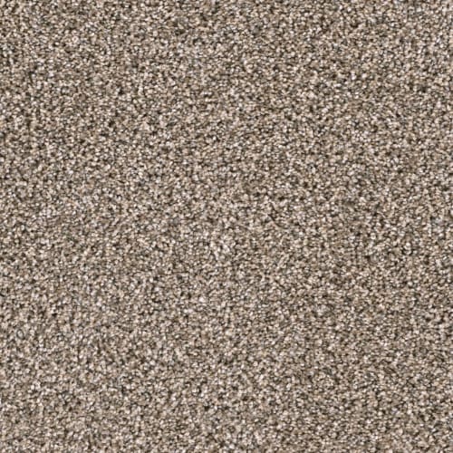 Lustrio II in Oxford Stone Carpet