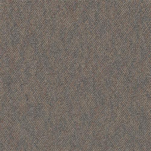 Premiere Broadloom in Gala Carpet