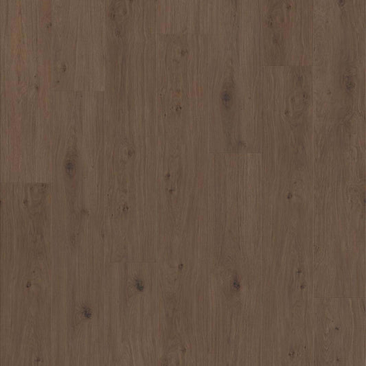 Southern Lights in Tuxedo Bronze Luxury Vinyl