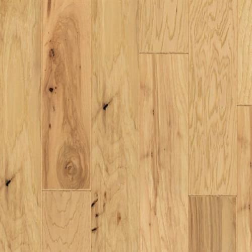 Distinguished in Clean Approach Hardwood