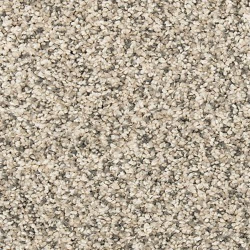 Vitalize I in Silver Dollar Carpet