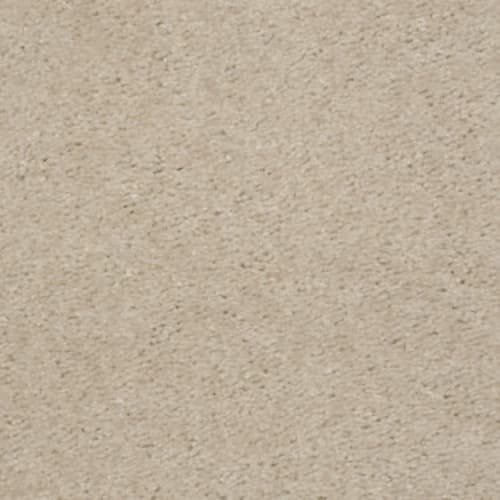 This Is It in Doveshell Carpet