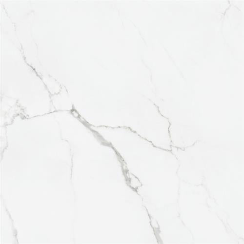 Statuario in Statuario Glossy - 30x30 Tile