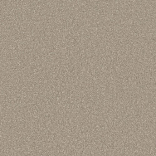 SPIRIT RIVER I in Desert Khaki Carpet