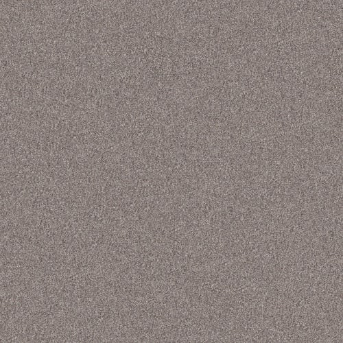 SMART CHOICE I 12' in French Buff Carpet