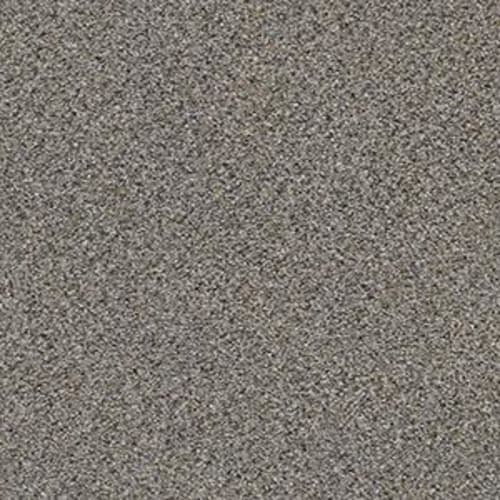 LAWTON DRIVE I in Antique Pin Carpet