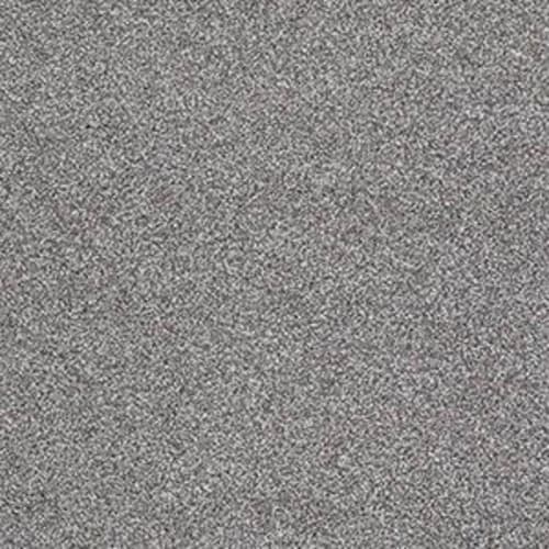 SABAL SPRINGS I in Washed Gray Carpet