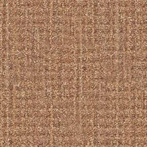 PALMER RANCH in Birch Carpet