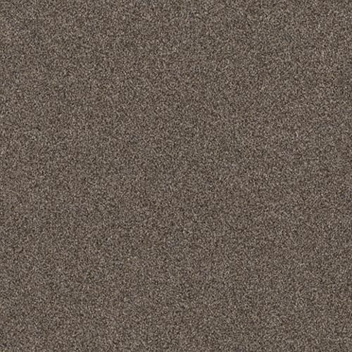 MISTY BREEZE I in Beige Bisque Carpet