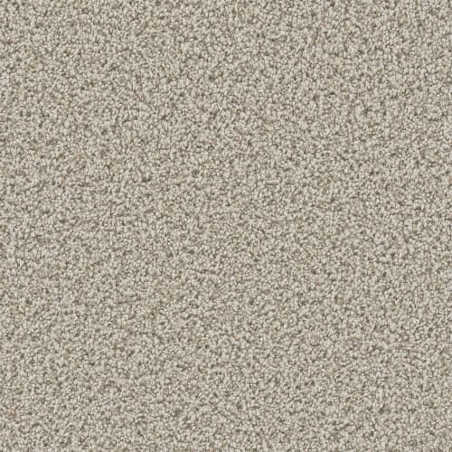 Manhattan in Stucco Carpet