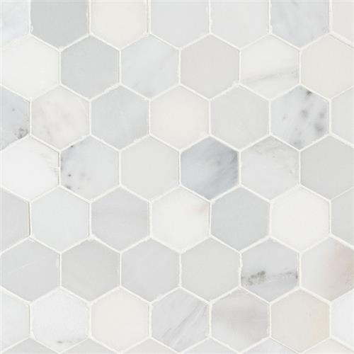 Arabescato Carrara in Arabescato Carrara - 2 Hexagon Natural Stone