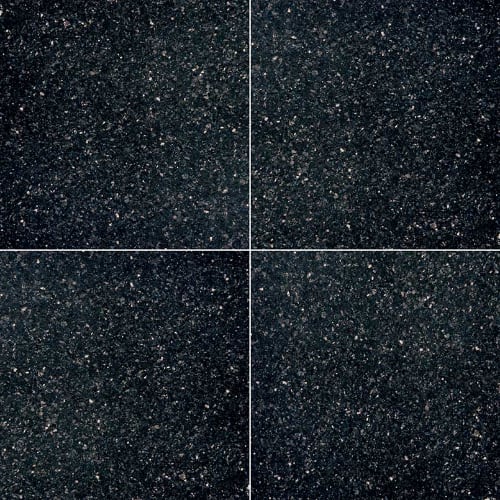 Black Galaxy in Black Galaxy - 18x18 Natural Stone