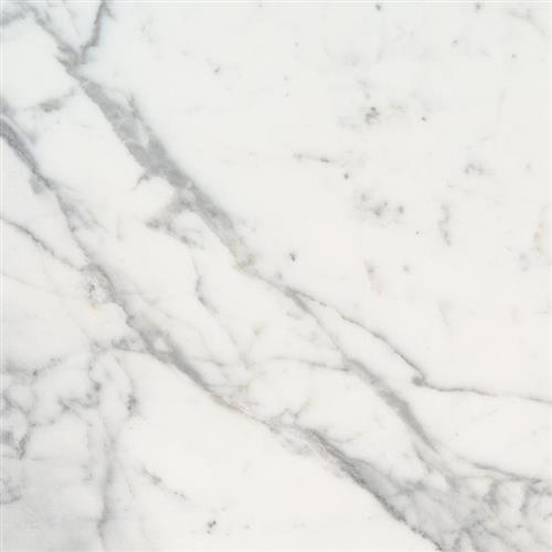 Calacatta Marble in Calacatta Marble - 12x12 Natural Stone