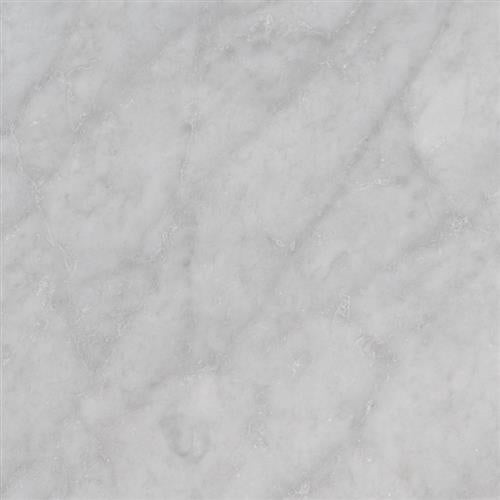 Carrara White in Carrara White - 12x12 Natural Stone