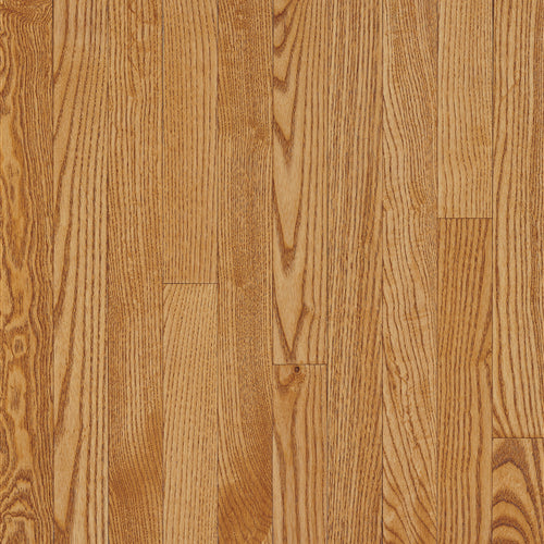 Dundee in Spice 3.25 Hardwood