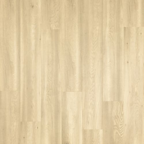 Miramar Shores in Palm Tree Oak Laminate