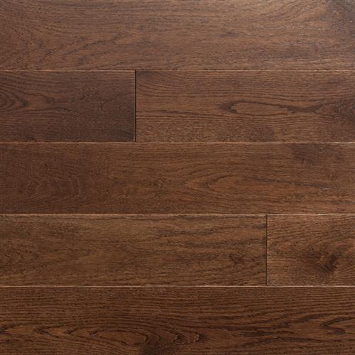 Classic Character (Solid) in Dark Forest Hardwood