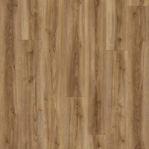 TimberStep - Wood Tech in Cannon's Point Laminate