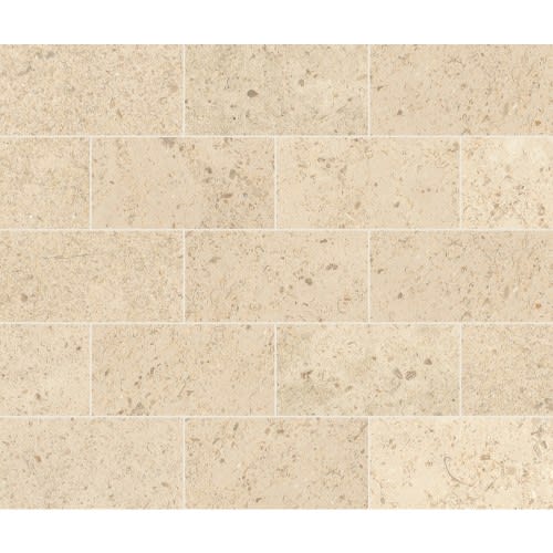 Parksville Stone in Kalahari Beige 3x6 Natural Stone