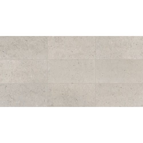 Center City in Delancey Grey 4x12 Polished Natural Stone