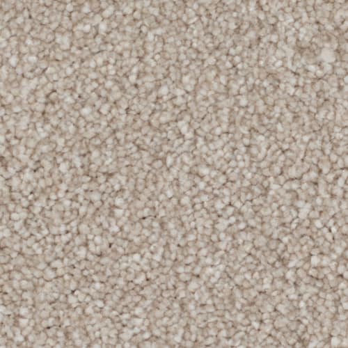 Tryesse Pro - Calm Retreat in Dune White Carpet