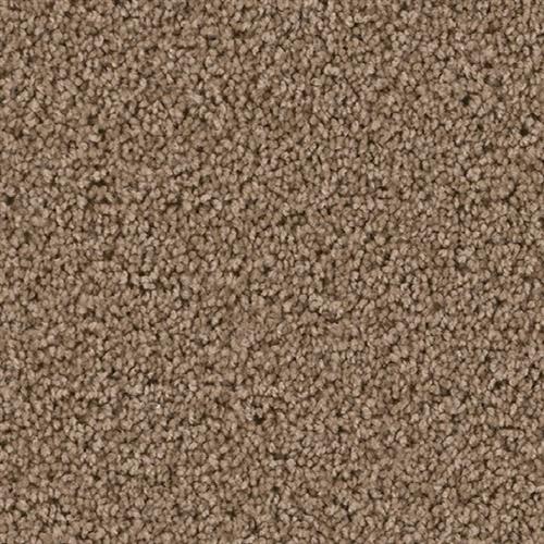 Top Star in Honey Beige Carpet