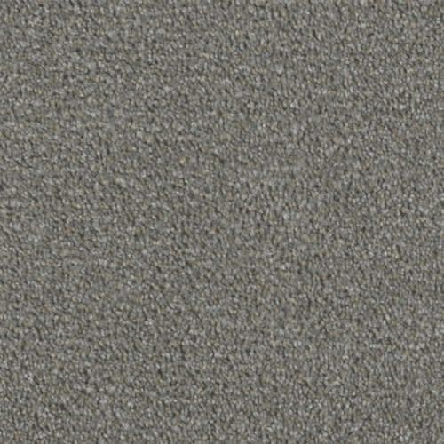 Real Solutions in Grey Umbra Carpet