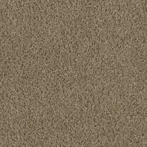 Slugger Plus in Khaki Carpet