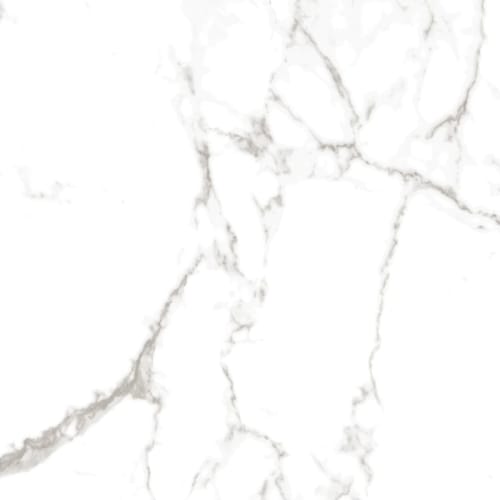 Serendra in Mila-31x31-Polished Tile