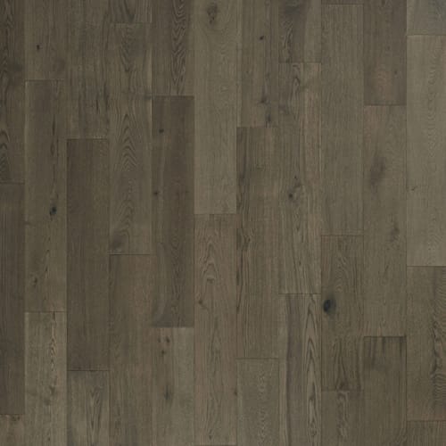 Laguna Plank in Lasso Hardwood