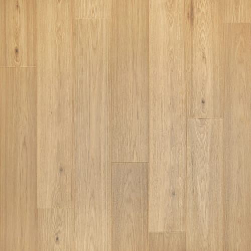 Witlock in Hammock Hickory Laminate