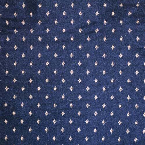 Lake Point in Navy Carpet