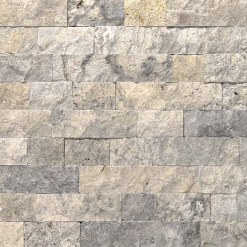 Silver Travertine in Gray-Light Sf Natural Stone