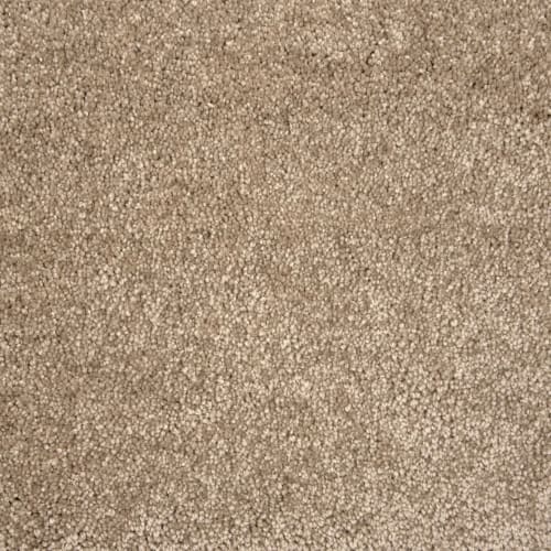 Lancelot in Khaki Carpet