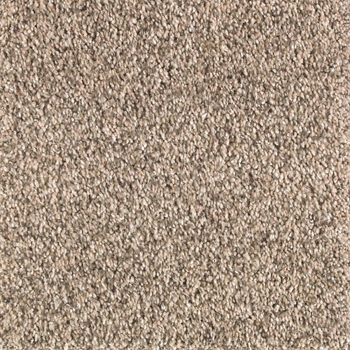 Nature's Elegance in Desert Scene Carpet