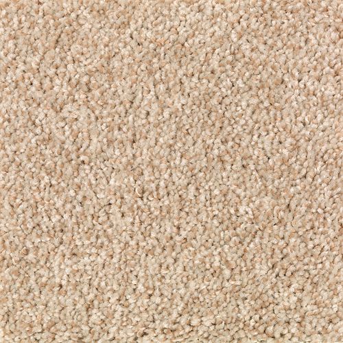 Tonal Chic II in Beechnut Carpet