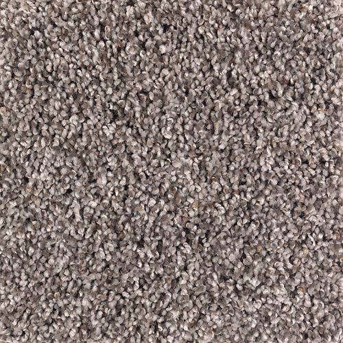 Soft Sensations I in Chocolate Swirl Carpet