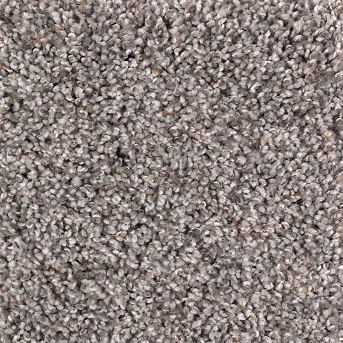 Soft Sensations II in Brampton Grey Carpet