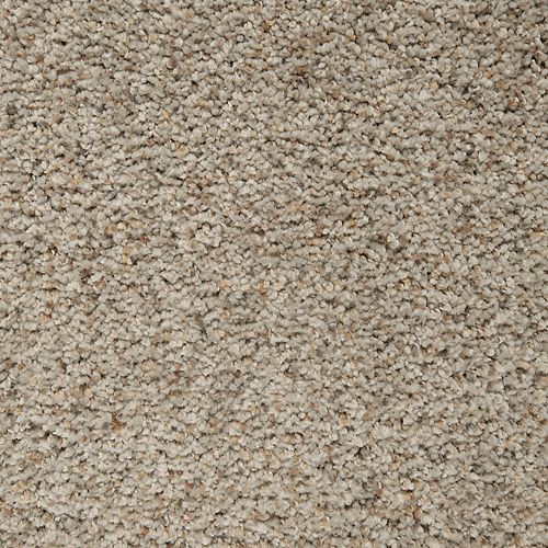 Relaxing Presence in Ridge View Carpet