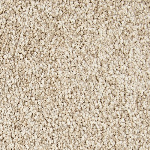 Striking Option in Canyon Shade Carpet