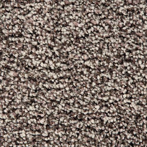 Soft Accolade II in Taupe Hint Carpet