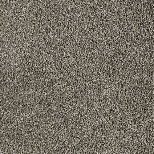 Delicate Tones I in Rocky Bluff Carpet