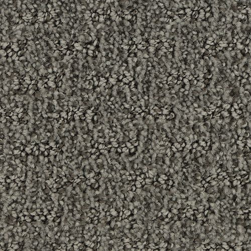 Stylish Tones in Shale Carpet