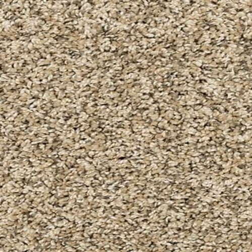 Diffurent Choice I in Bisque Carpet