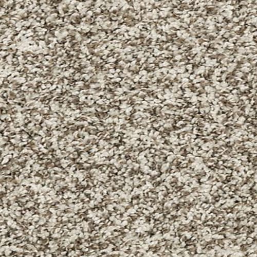 Diffurent Choice III in North Winds Carpet