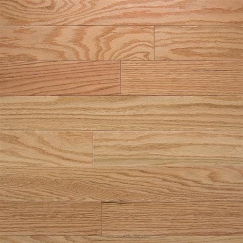 Color Strip in Natural Red Oak - 3.25 Hardwood