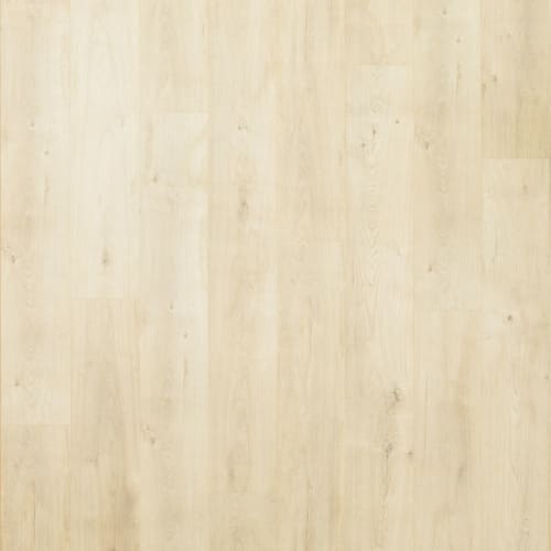 Preferred LeGrand in Palisade Laminate